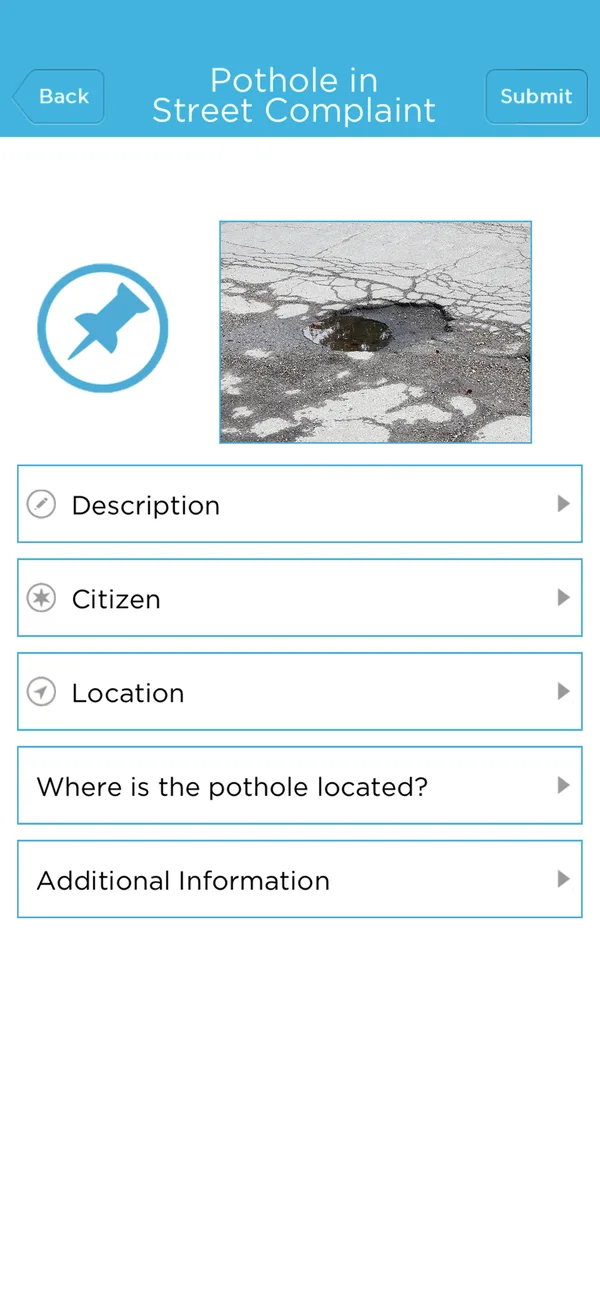 Chicago 311 report form with photo, location and details